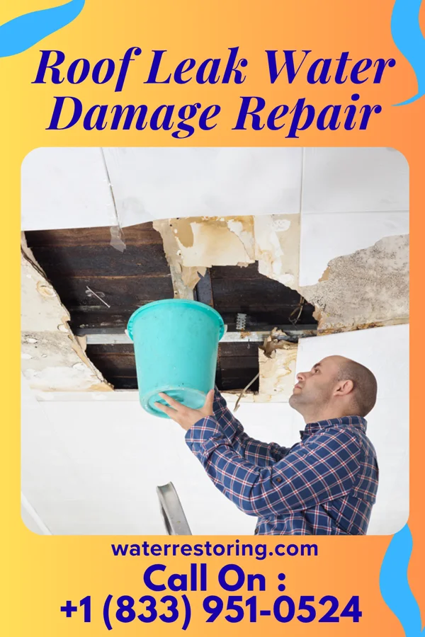 Roof Leak Water Damage Repair in Town 'n' Country, FL